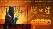 阿飞的上司